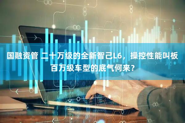 国融资管 二十万级的全新智己L6，操控性能叫板百万级车型的底气何来？