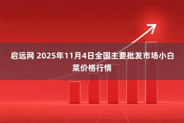 启远网 2025年11月4日全国主要批发市场小白菜价格行情
