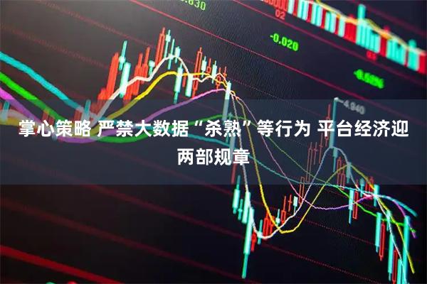 掌心策略 严禁大数据“杀熟”等行为 平台经济迎两部规章